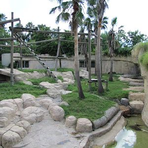 Gladys Porter Zoo 2010 - Right side of the Gorilla exhibit