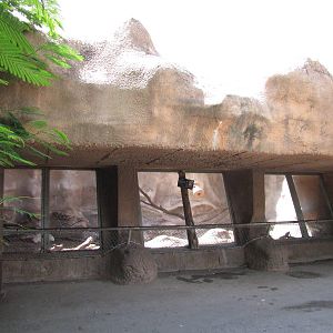 Gladys Porter Zoo 2010 - Front of the Mandril exhibit