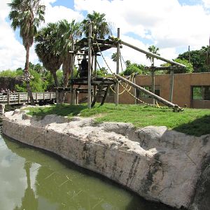 Gladys Porter Zoo 2010 - Side-view of the Chimpanzee exhibit