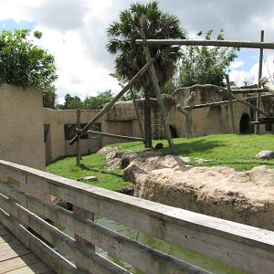 Gladys Porter Zoo 2010 - Left side of the Orangutan exhibit