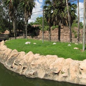 Gladys Porter Zoo 2010 - One of several Gibbon exhibits