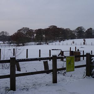 Marwell Snowed Over