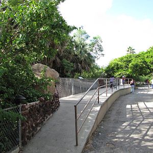 Gladys Porter Zoo 2010 - Alongside the Crocodile complex
