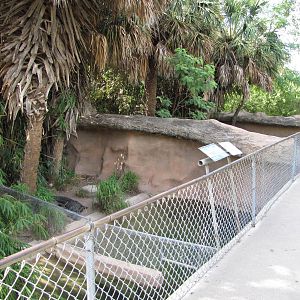 Gladys Porter Zoo 2010 - View to the right in the Crocodile complex