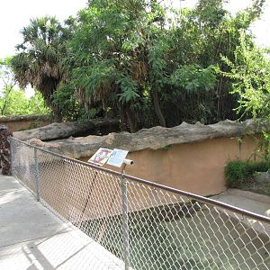 Gladys Porter Zoo 2010 - View to the left in the Crocodile complex