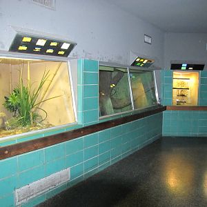 Gladys Porter Zoo 2010 - General view in the Herpetarium