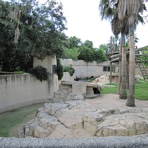 Gladys Porter Zoo 2010 - Left side of the Gorilla exhibit