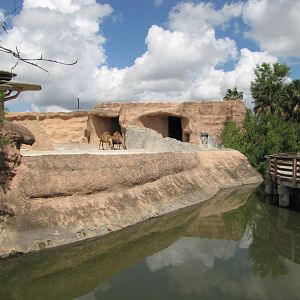 Gladys Porter Zoo 2010 - Side-view of the former African Elephant exhibit