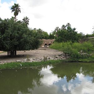 Gladys Porter Zoo 2010 - Part of the large Arabian Oryx exhibit