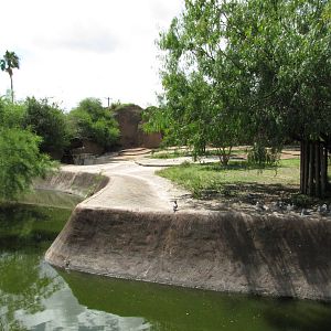 Gladys Porter Zoo 2010 - Part of the large Przewalskis Horse exhibit