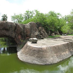 Gladys Porter Zoo 2010 - First part of the large Addax exhibit