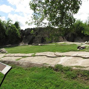Gladys Porter Zoo 2010 - Second part of the large Addax exhibit