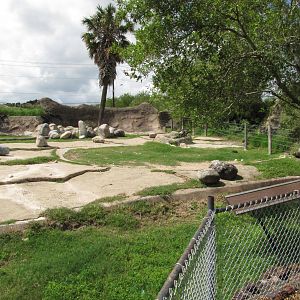 Gladys Porter Zoo 2010 - Third part of the large Addax exhibit