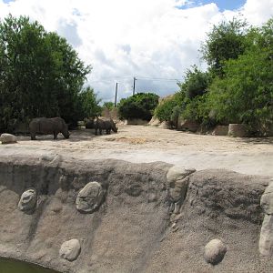 Gladys Porter Zoo 2010 - Part of the White Rhinoceros exhibit