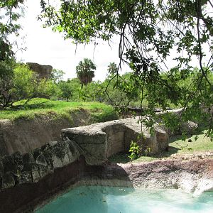 Gladys Porter Zoo 2010 - Moat between predator and prey