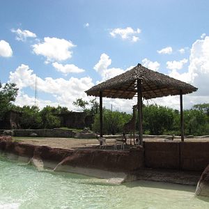 Gladys Porter Zoo 2010 - Addra Gazelle and Reticulated Giraffe exhibit