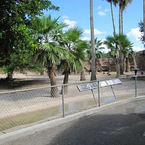 Gladys Porter Zoo 2010 - Front of the large Bongo exhibit