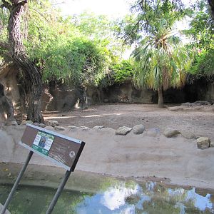 Gladys Porter Zoo 2010 - Harnessed Bushbuck exhibit