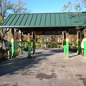 African Forest - Entrance