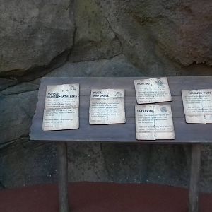 African Forest - signs