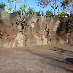 African Forest - rock work