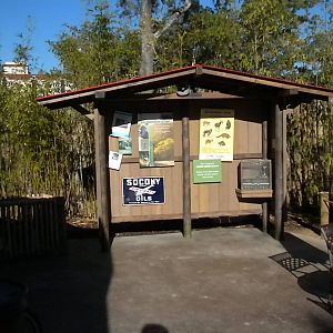 African Forest - outpost