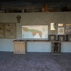 African Forest - Chimp interpretive area