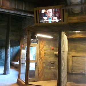 African Forest- Chimp interpretive area