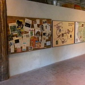 African Forest- Chimp interpretive area