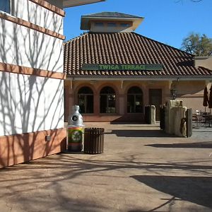 African Forest - Cafe