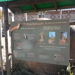 African Forest - Giraffe sign