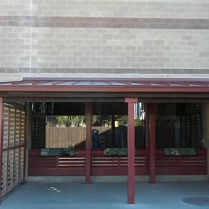 African Forest - Giraffe barn