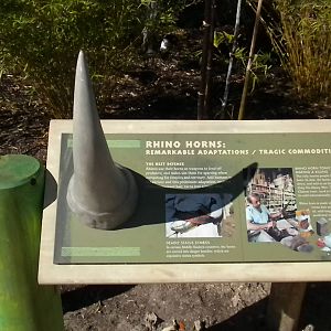 African Forest - Rhino sign