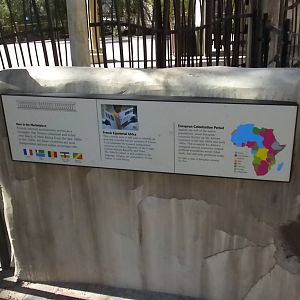 African Forest - Colonial Africa