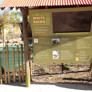 African Forest - White Rhino and Kudu sign