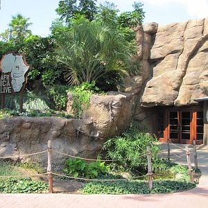 San Antonio Zoo 2010 - Africa Live entrance