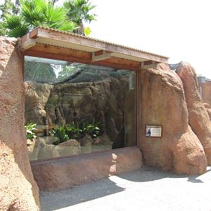 San Antonio Zoo 2010 - Front of Dwarf Mongoose exhibit in Africa Live