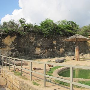 San Antonio Zoo 2010 - Left part of the controversial Asiatic Elephant exhi
