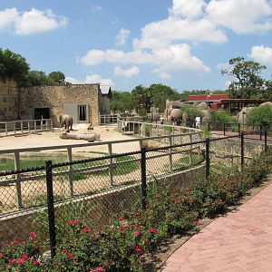 San Antonio Zoo 2010 - Right part of the controversial Asiatic Elephant exh