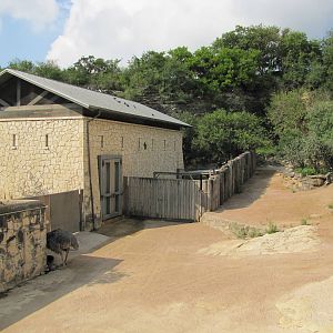 San Antonio Zoo 2010 - Part of mixed ungulate exhibit
