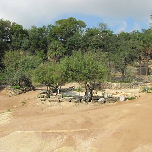 San Antonio Zoo 2010 - Part of mixed exhibit