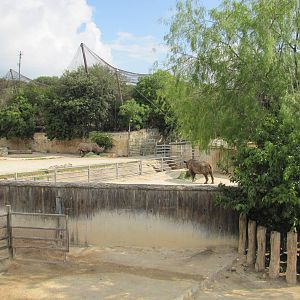 San Antonio Zoo 2010 - Part of rhinoceros complex in the Rift Valley