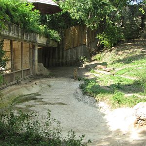 San Antonio Zoo 2010 - Part of Cheetah exhibit in the Rift Valley