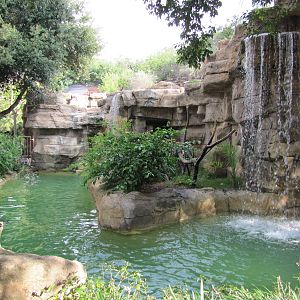 San Antonio Zoo 2010 - Macaw exhibit in the Amazonia Rain Forest