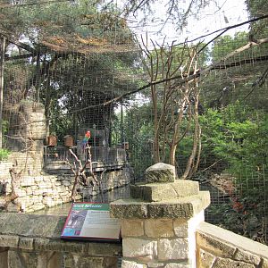 San Antonio Zoo 2010 - Mixed exhibit in the Amazonia Rain Forest