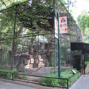 San Antonio Zoo 2010 - Andean Condor aviary in the Amazonia Rain Forest