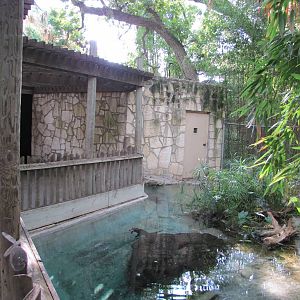 San Antonio Zoo 2010 - Dwarf Caiman exhibit in the Amazonia Rain Forest