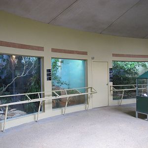 San Antonio Zoo 2010 - General view in the Hixon Bird House