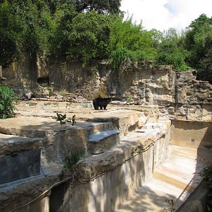 San Antonio Zoo 2010 - Left side of the Spectacled Bear rocky grotto
