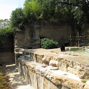 San Antonio Zoo 2010 - Right side of the Spectacled Bear rocky grotto